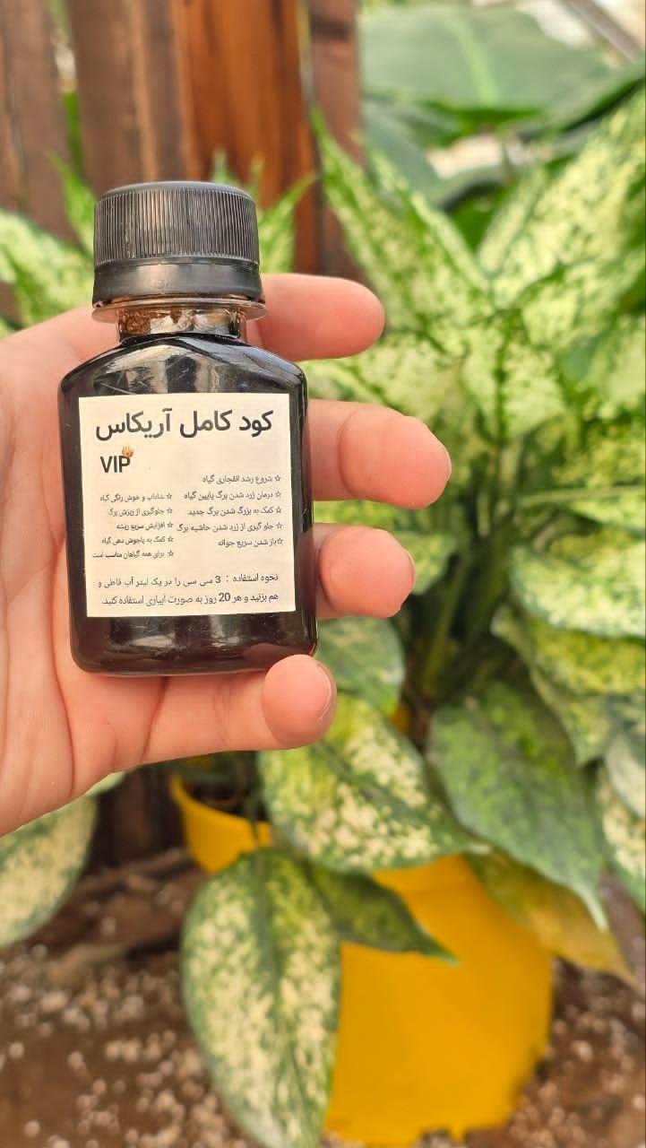 کود آریکاس